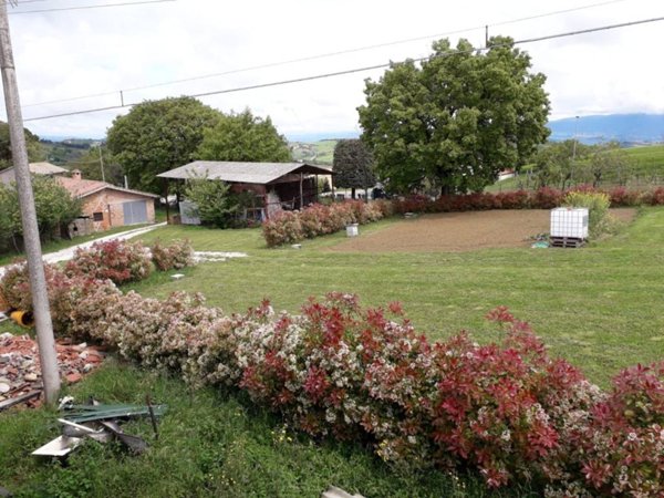 terreno agricolo in vendita ad Avigliano Umbro in zona Dunarobba