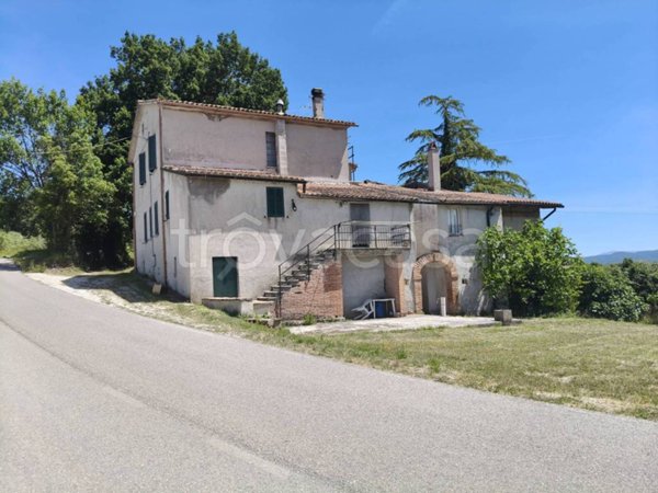 casa indipendente in vendita ad Avigliano Umbro