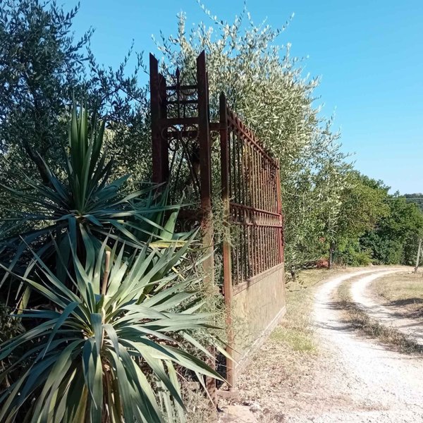 terreno agricolo in vendita ad Avigliano Umbro in zona Sismano