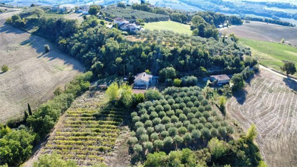 casa indipendente in vendita ad Avigliano Umbro in zona Sismano