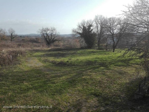 terreno agricolo in vendita ad Acquapendente