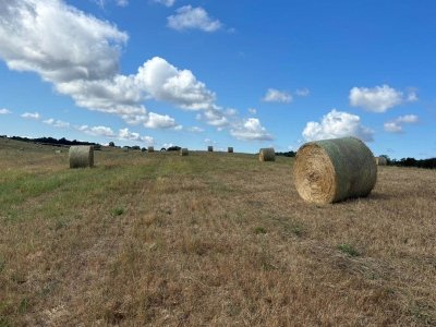terreno agricolo in vendita ad Acquapendente