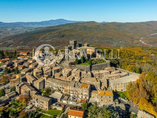 casa indipendente in vendita ad Acquapendente in zona Torre Alfina