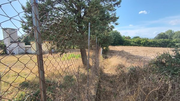 azienda agricola in vendita ad Acquapendente