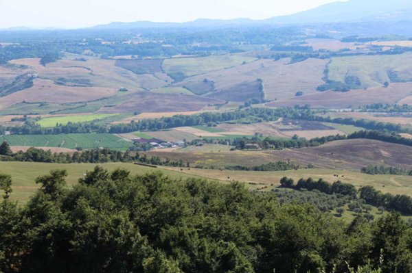 azienda agricola in vendita ad Acquapendente in zona Trevinano