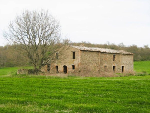 terreno agricolo in vendita ad Acquapendente