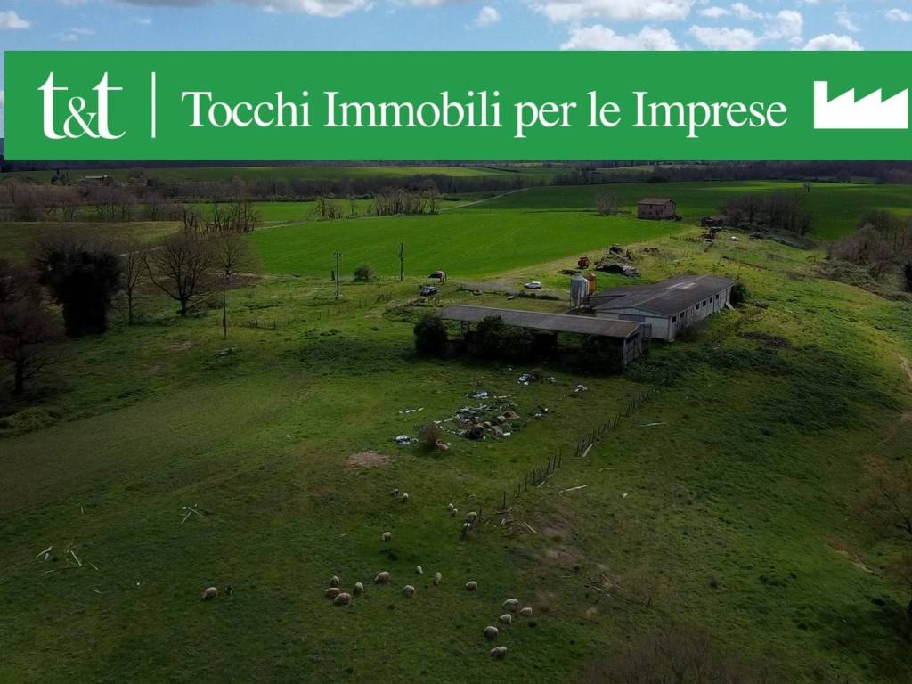 terreno agricolo in vendita ad Acquapendente