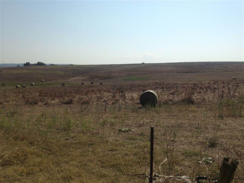 terreno agricolo in vendita ad Acquapendente