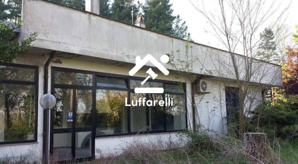 negozio in vendita ad Acquapendente