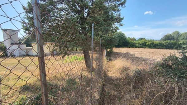 azienda agricola in vendita ad Acquapendente