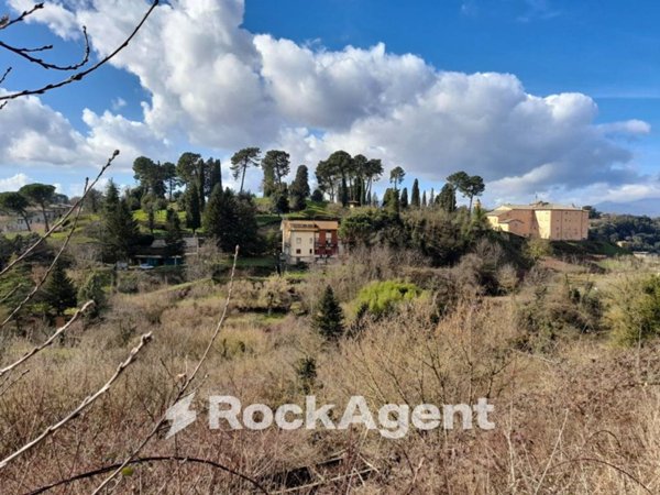terreno agricolo in vendita ad Acquapendente