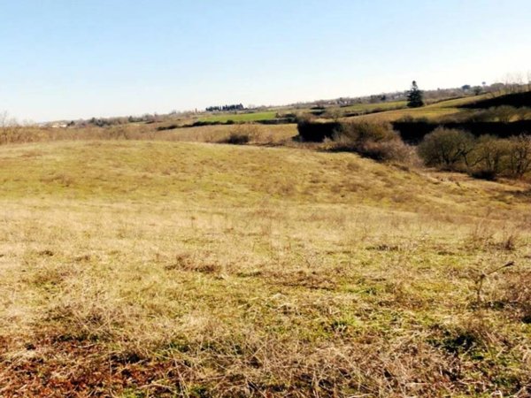 terreno agricolo in vendita ad Acquapendente