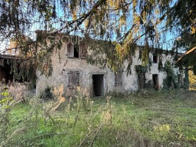locale di sgombero in vendita ad Acquapendente