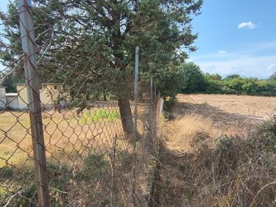 azienda agricola in vendita ad Acquapendente