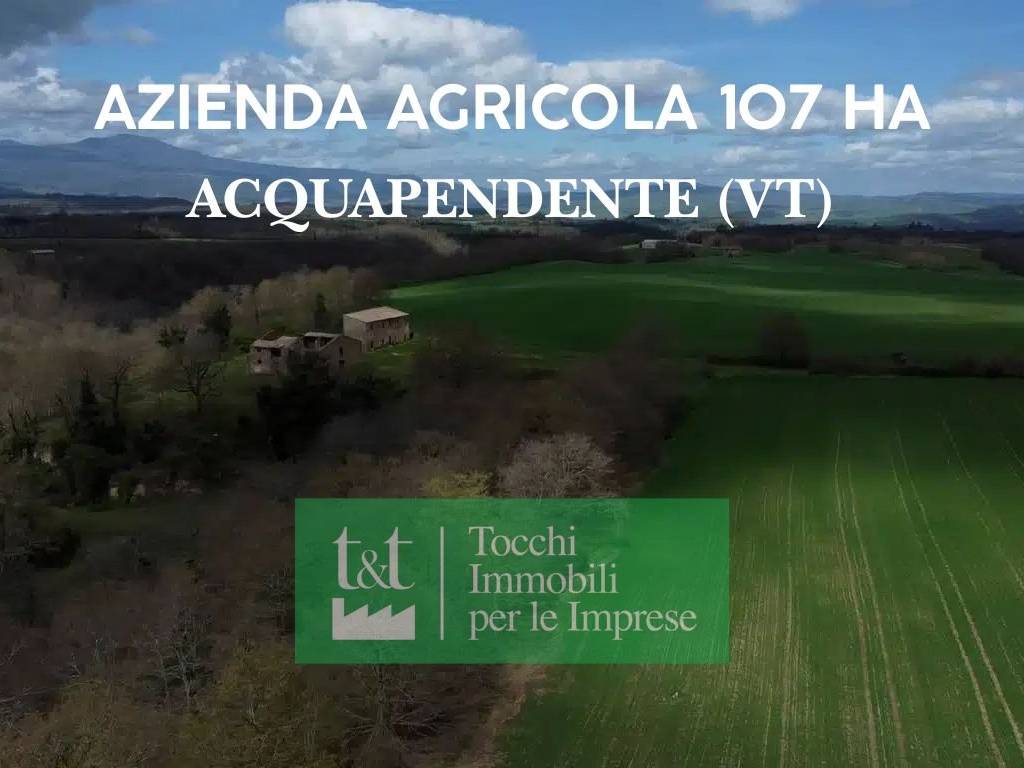 terreno in vendita ad Acquapendente