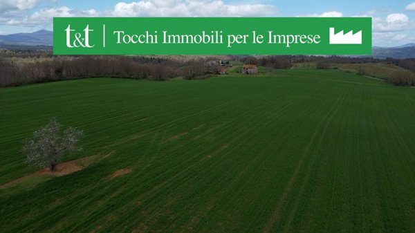 terreno agricolo in vendita ad Acquapendente