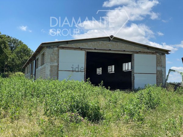 azienda agricola in vendita ad Acquapendente