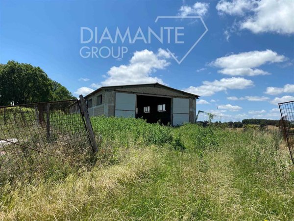 immagine annuncio 0 di 1