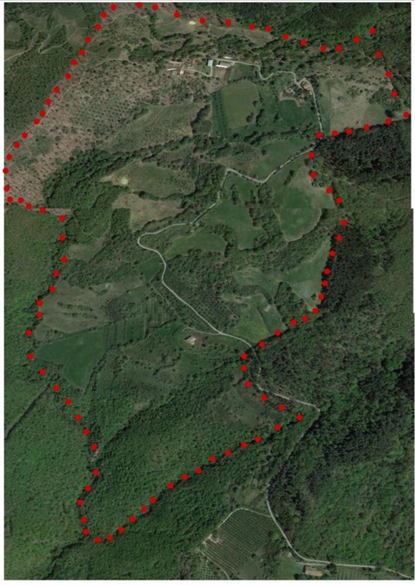 azienda agricola in vendita ad Acquapendente
