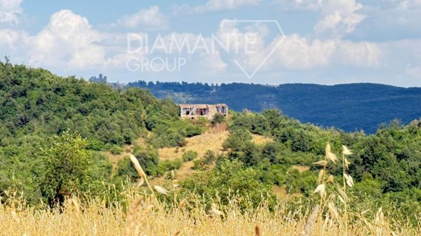 azienda agricola in vendita ad Acquapendente