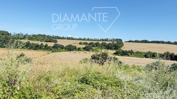 azienda agricola in vendita ad Acquapendente