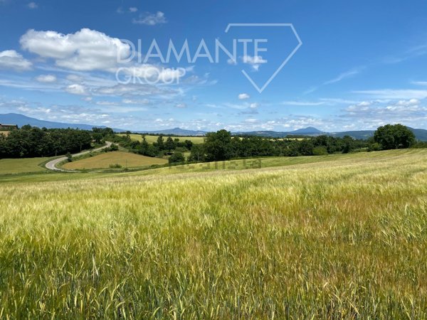 azienda agricola in vendita ad Acquapendente