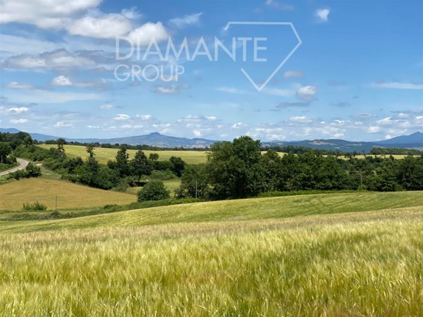 terreno agricolo in vendita ad Acquapendente