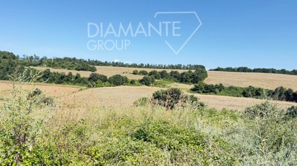 terreno agricolo in vendita ad Acquapendente