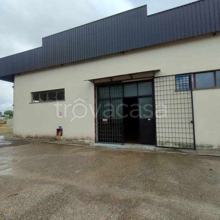 locale commerciale in vendita ad Acquapendente