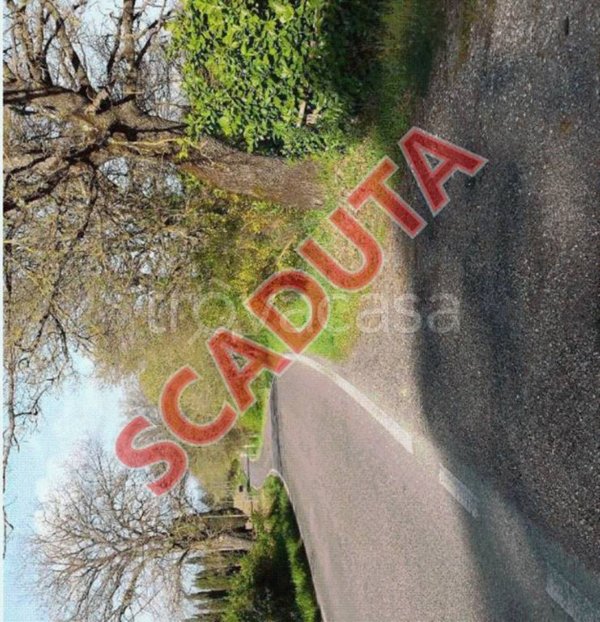 negozio in vendita ad Acquapendente