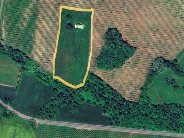 terreno agricolo in vendita ad Acquapendente