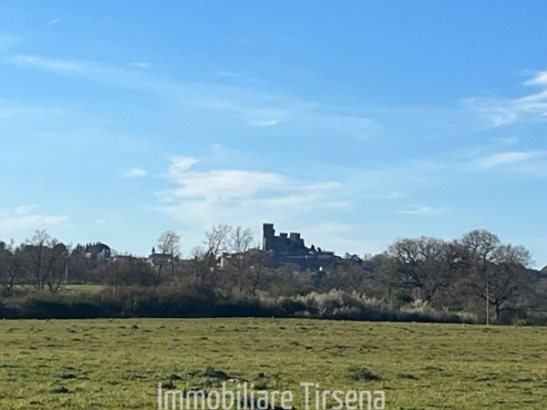 casa indipendente in vendita ad Acquapendente in zona Torre Alfina