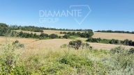 azienda agricola in vendita ad Acquapendente