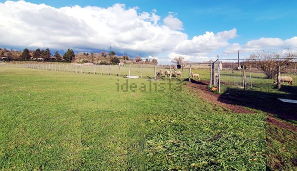 terreno agricolo in vendita ad Acquapendente