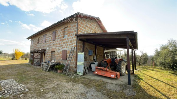 azienda agricola in vendita ad Acquapendente