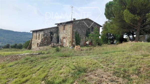 azienda agricola in vendita ad Acquapendente