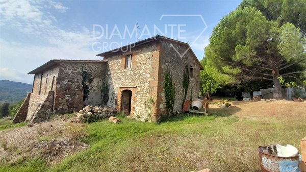 azienda agricola in vendita ad Acquapendente