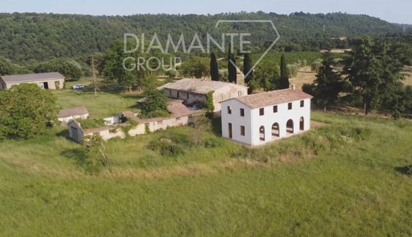 azienda agricola in vendita ad Acquapendente