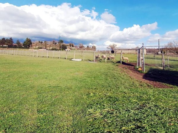 terreno in vendita ad Acquapendente