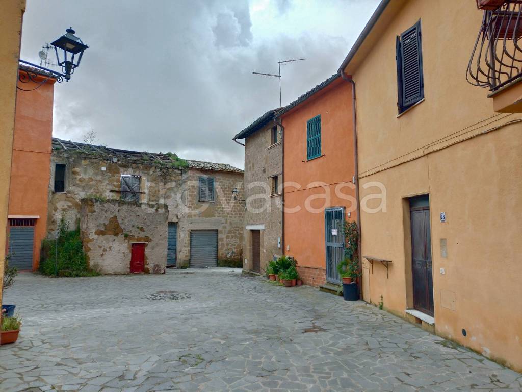 casa indipendente in vendita ad Arlena di Castro