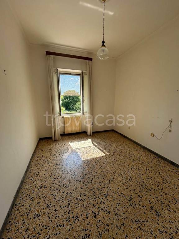 immagine annuncio 0 di 14