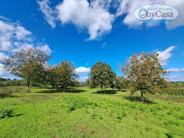terreno agricolo in vendita ad Arlena di Castro