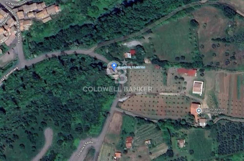 casa indipendente in vendita ad Arlena di Castro