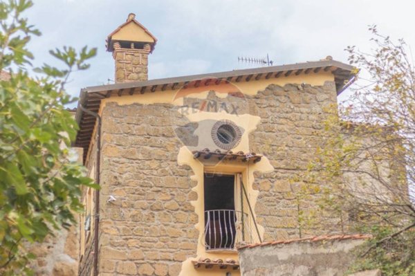 casa indipendente in vendita ad Arlena di Castro
