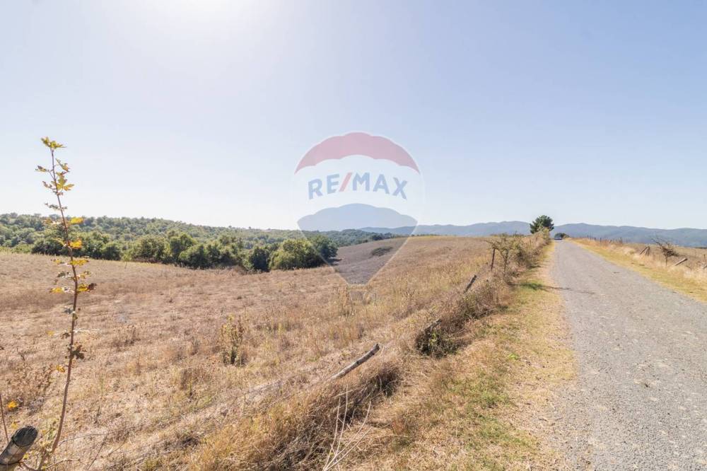 terreno agricolo in vendita ad Arlena di Castro