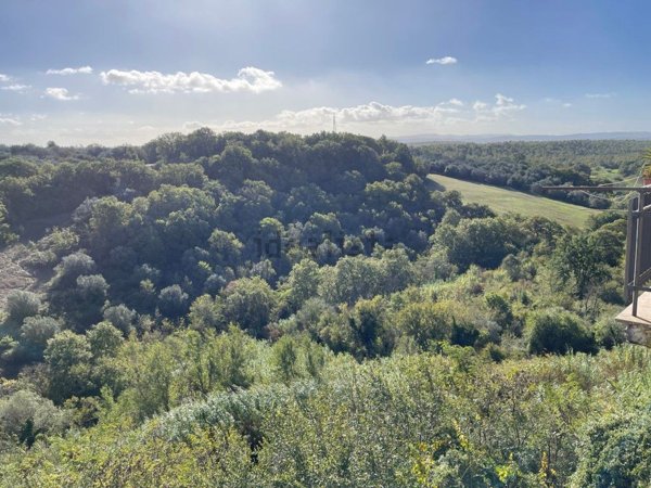 casa indipendente in vendita ad Arlena di Castro