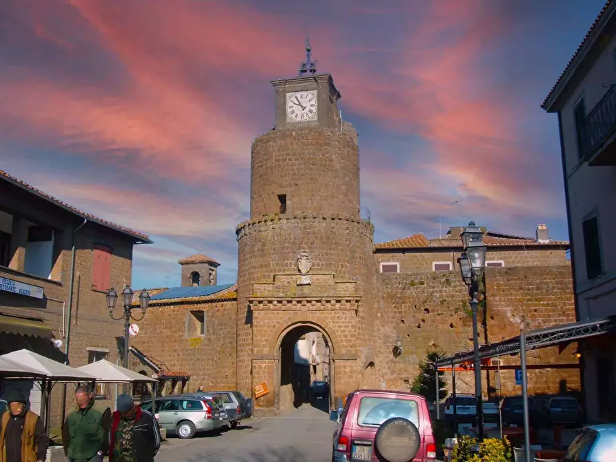 casa indipendente in vendita ad Arlena di Castro