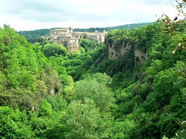 immagine annuncio 0 di 13