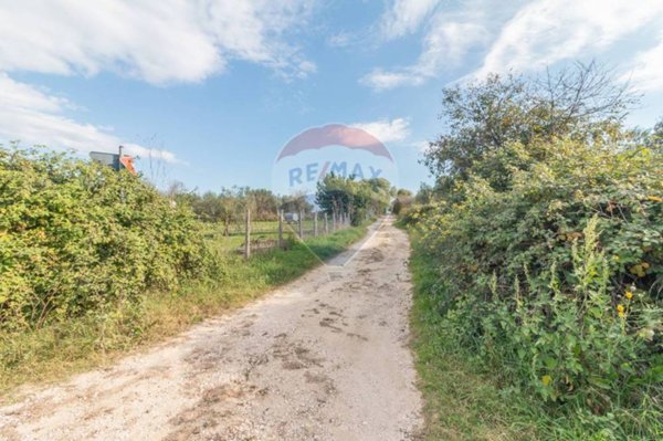 terreno agricolo in vendita ad Arlena di Castro