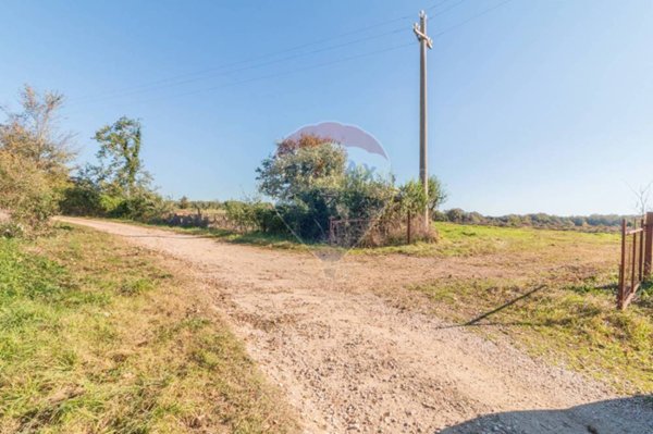 terreno agricolo in vendita ad Arlena di Castro